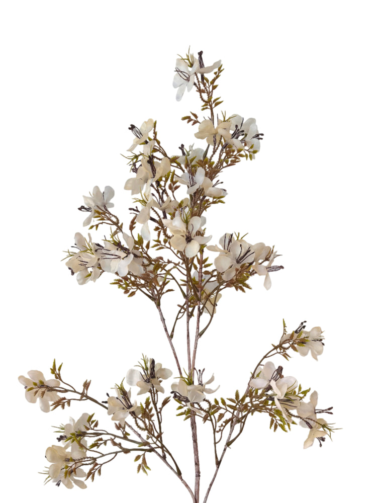 Prunus Blossom Stem