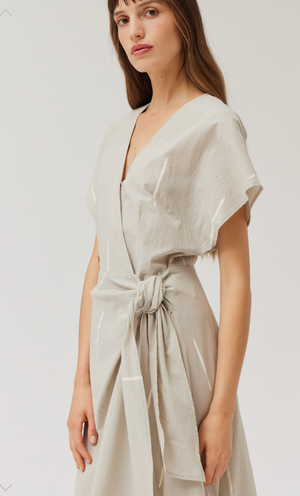 Dash Print Dress