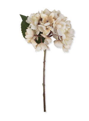 Hydrangea Stem - Morning Mist