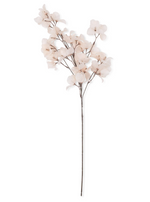Bougainvillea Stem - Blush