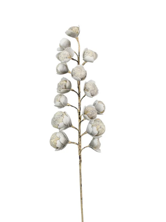 Grey + White Botanica