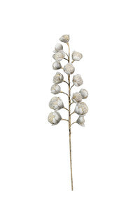 Grey + White Botanica