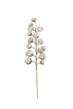 Grey + White Botanica