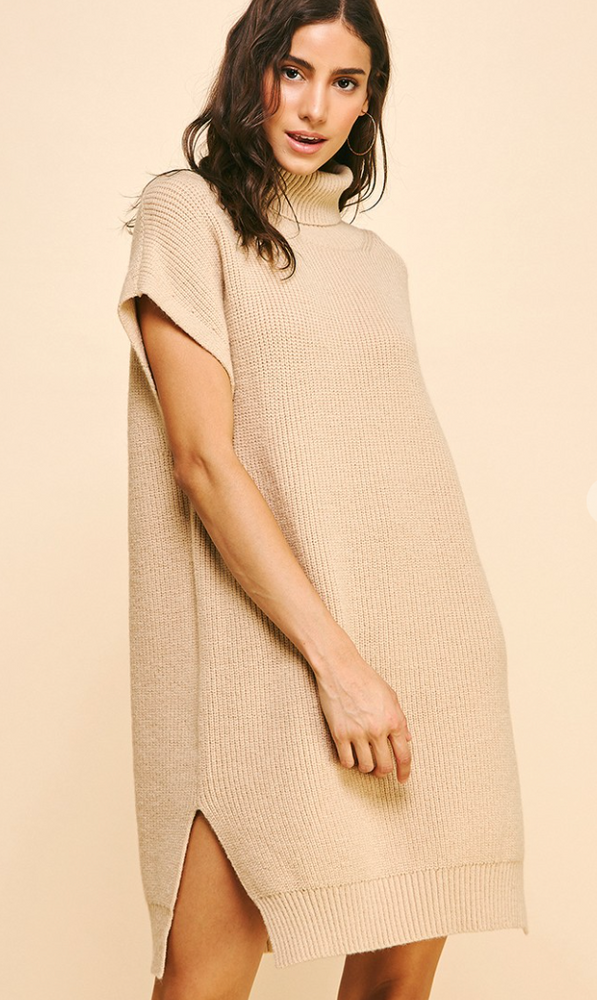 Turtle Neck Sweater Dress