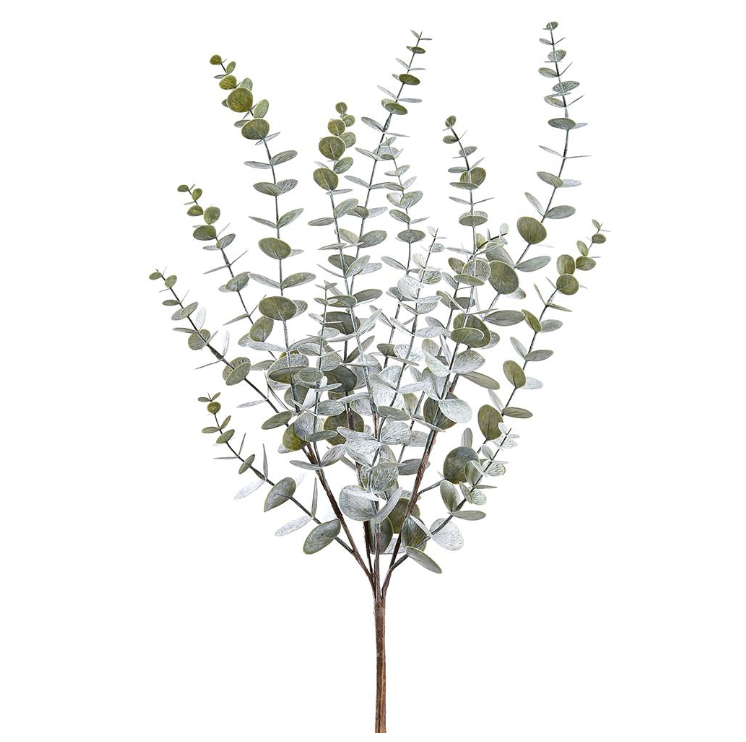 Eucalyptus Pick