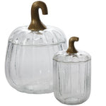 Translucent Terrarium Pumpkin - Small
