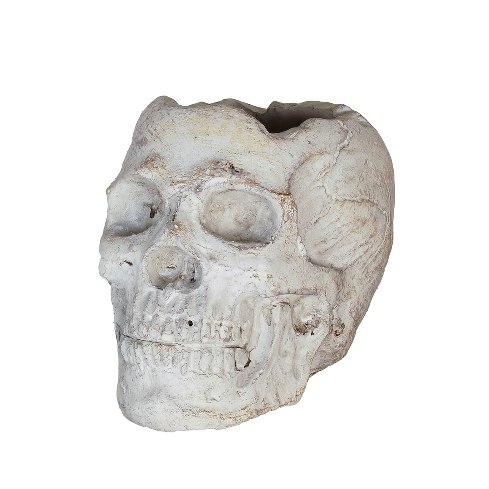 Concrete Momento Mori Bud Vase