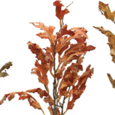 Faux Oak Leaf