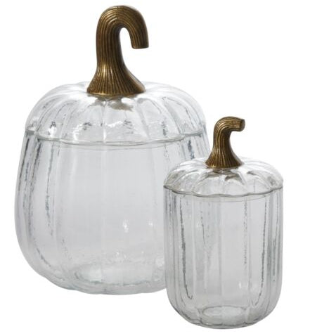 Translucent Terrarium - Large