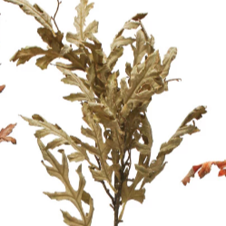 Faux Oak Leaf