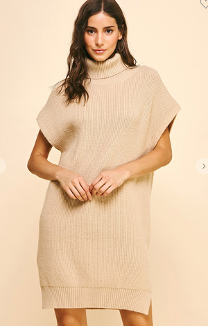 Turtle Neck Sweater Dress