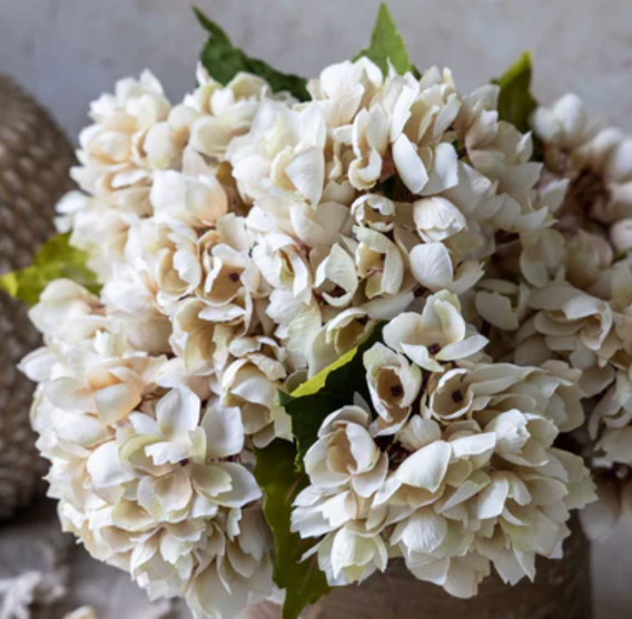 Hydrangea Stem - Morning Mist