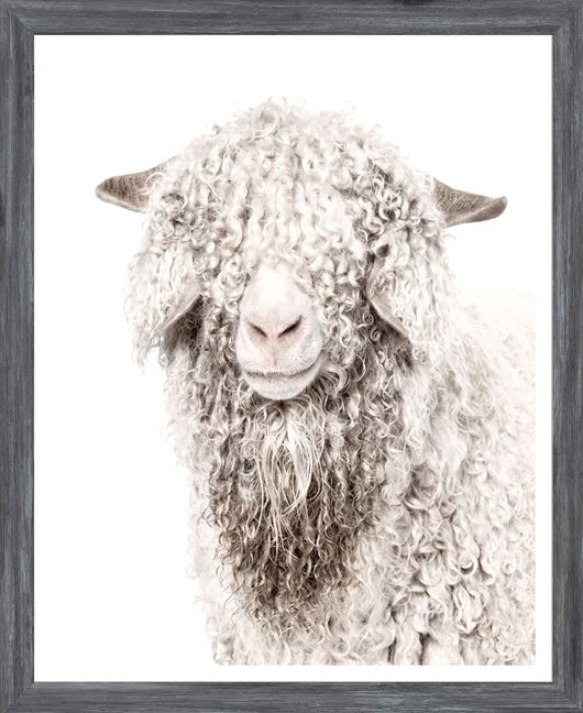 
            
                Load image into Gallery viewer, Angora Goat Mini in Grey Frame
            
        