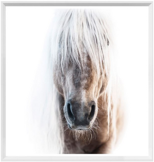 
            
                Load image into Gallery viewer, Palomino Mini in White Frame
            
        
