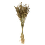 Natural Congo Grass Bundle
