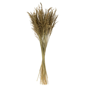
            
                Load image into Gallery viewer, Natural Congo Grass Bundle
            
        