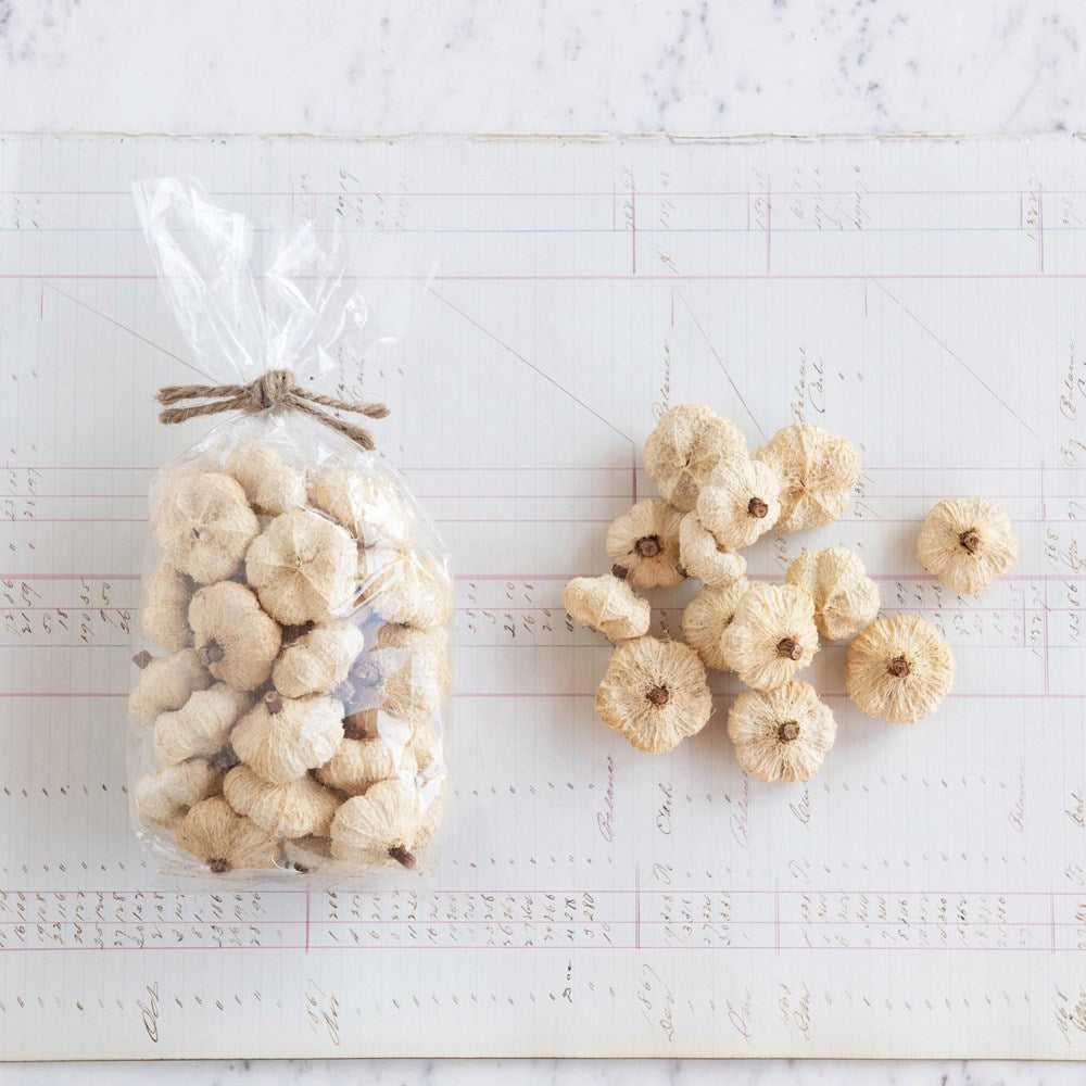 Bag of Dried Natural Peepal Pumpkins