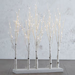 Lit Birch Grove