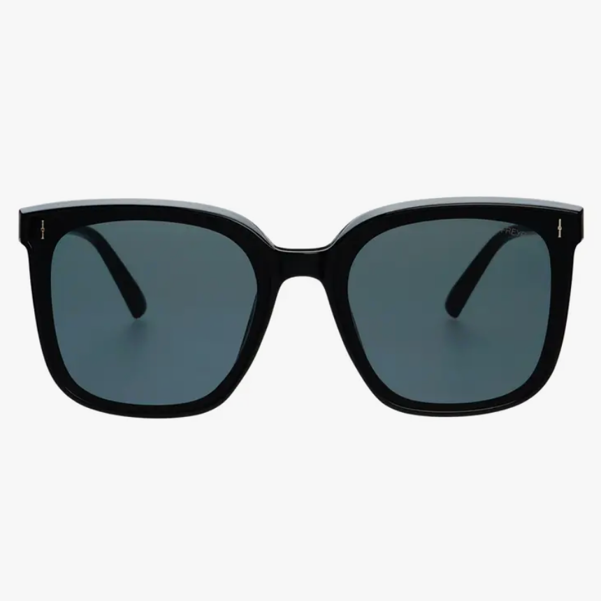 Aspen Sunglasses | Black