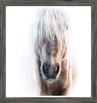 Palomino Art with a Weathered Grey Frame