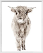 Posing Calf Wall Art with White Frame