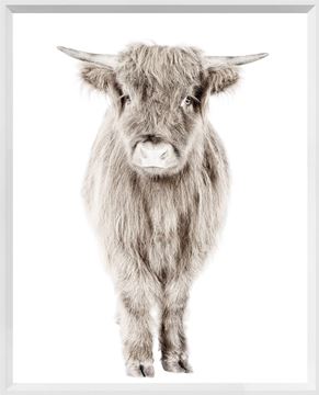 
            
                Load image into Gallery viewer, Posing Calf Wall Art with White Frame
            
        
