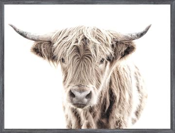 Highland Cow Wall Art with Weathered Gray Frame