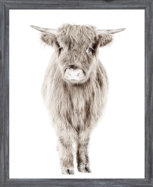 Posing Calf in Grey Frame