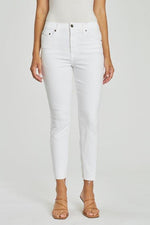 Audrey Mid Rise Skinny Jeans